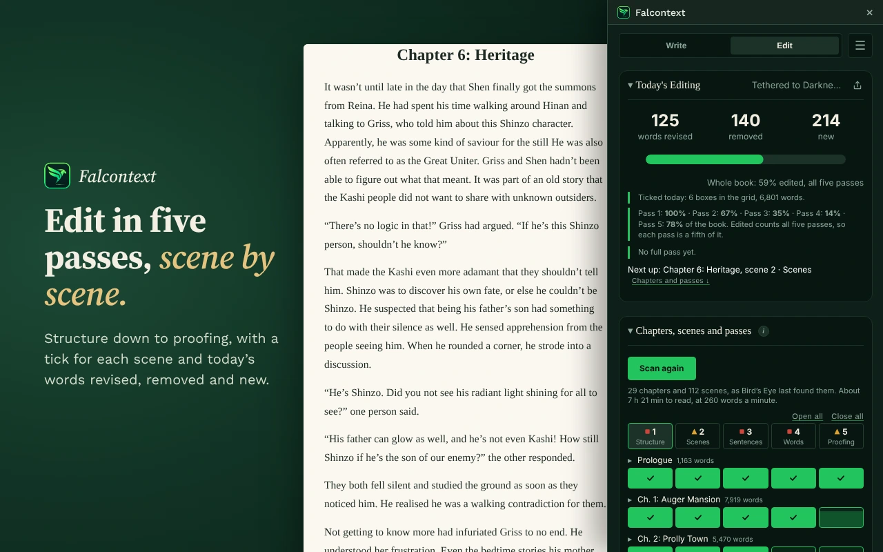 The Edit tab: words revised, removed and new today, and the five passes ticked chapter by chapter.